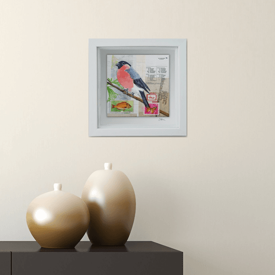 Bullfinch - Ornithology #9