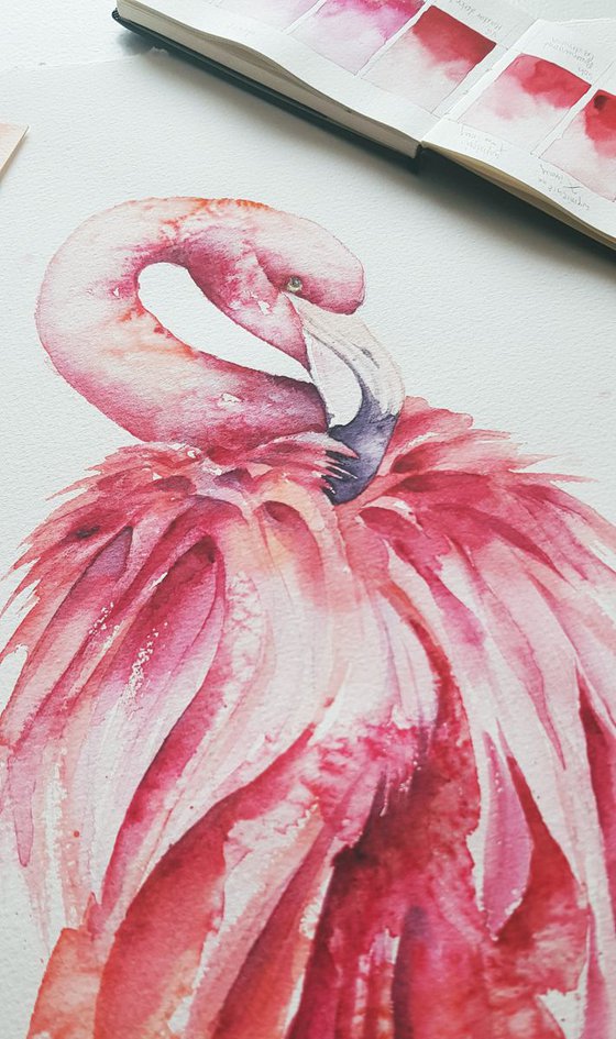 Pink flamingo art, wildlife, birds watercolours