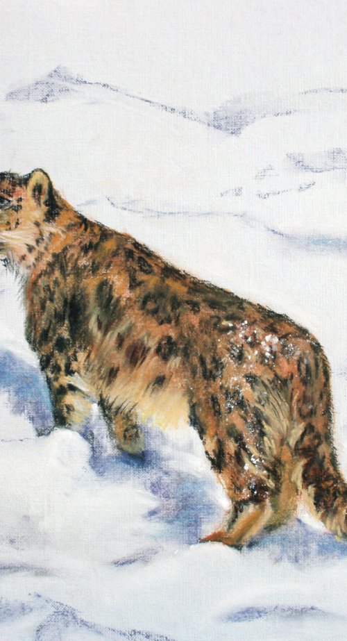 Snow Leopard I /  ORIGINAL PAINTING by Salana Art Gallery