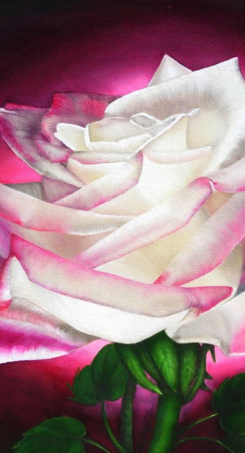 Rose Transparency by Renee  DiNapoli