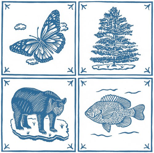 Butterfly/White Pine/Black Bear/Bluegill by Francis Stanton