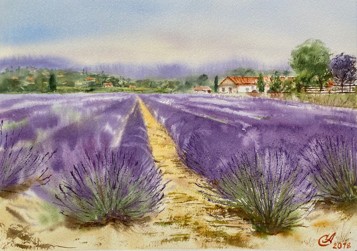 Fields of Provence by Alla Semenova