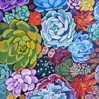 Succulents