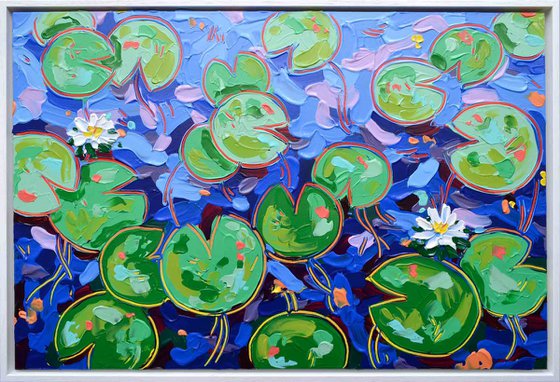 Tasman Lily Pond 27