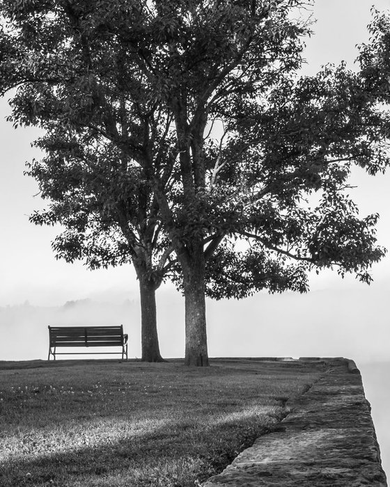 Bench and Tree in Fog, 24 x 36"