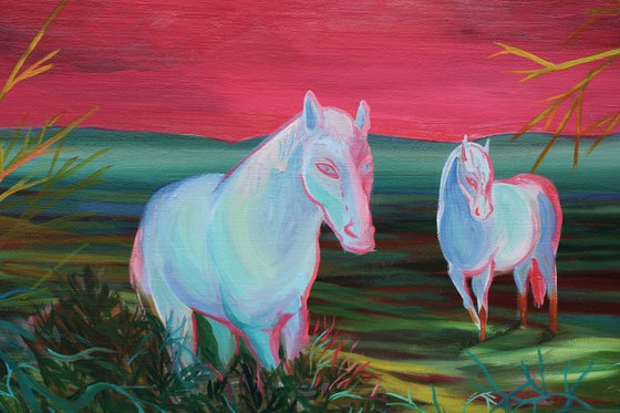 Wild ghost horses