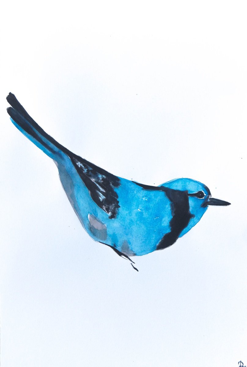 Bird by Nadia Moniatis