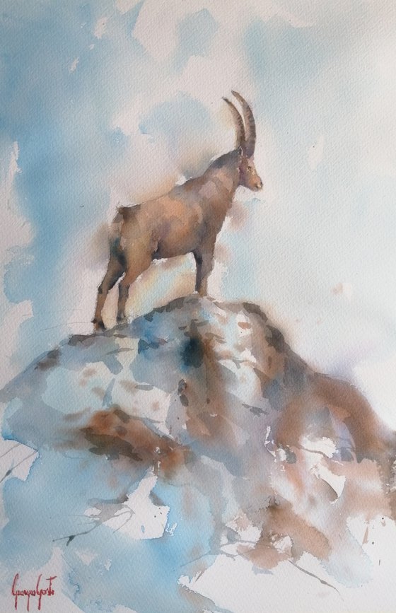 ibex