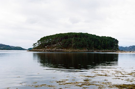 Island (Loch Shieldaig) - Unmounted (24x16in)