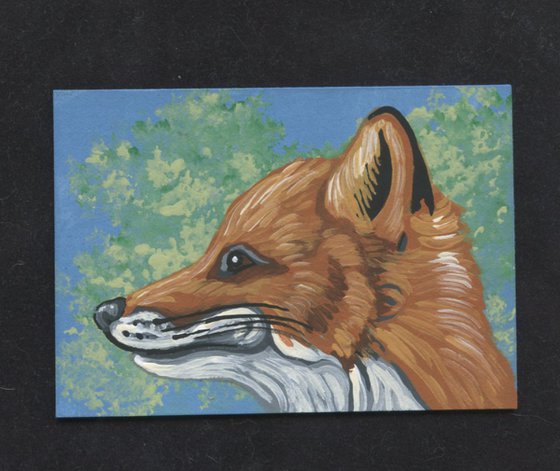 ACEO ATC Original Miniature Painting Red Fox Wildlife Art-Carla Smale