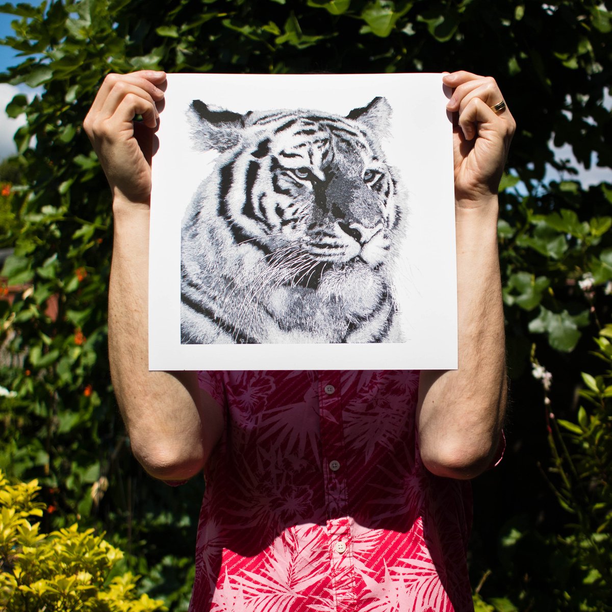 Bring on the Year of The Tiger - Giclee by Wayne Longhurst