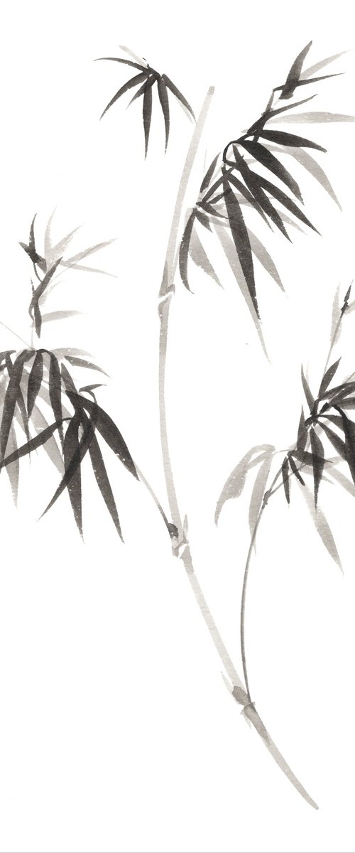 Morning Bamboo by Hai Doan