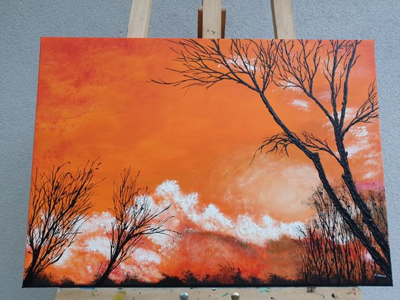 Red sunset