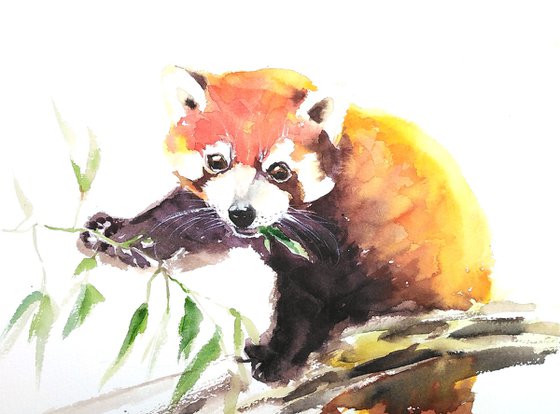 Red panda artwork, watercolor illustration
