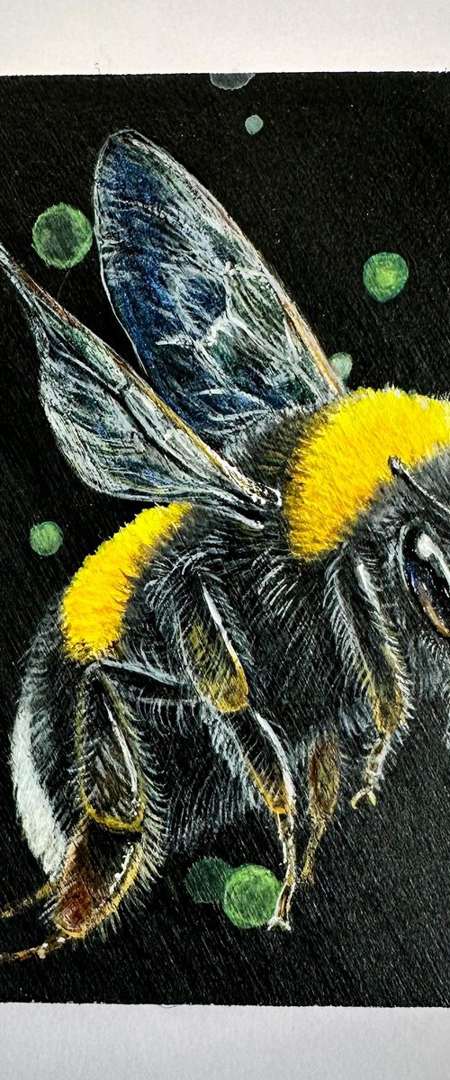 Queen White Tailed Bumblebee by Louise McNaught