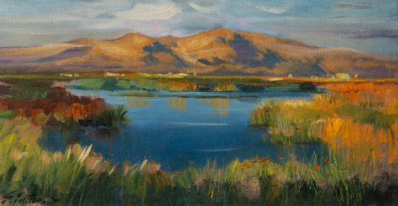 Desert Oasis