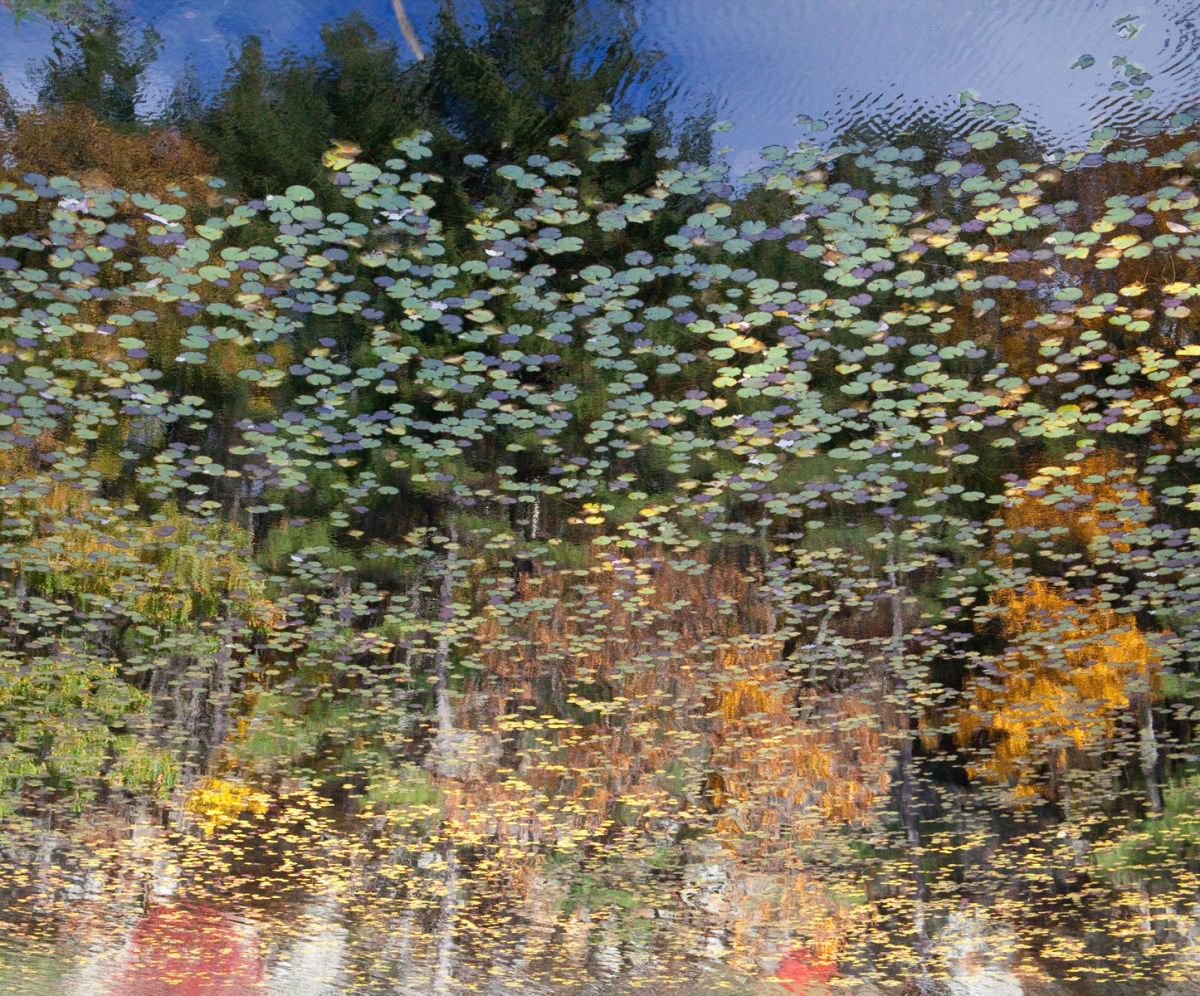 Photorealistic Photograph , Reflection 2 By Michael Filonow, 32 X 26, Artwork For Sale On Artfinder