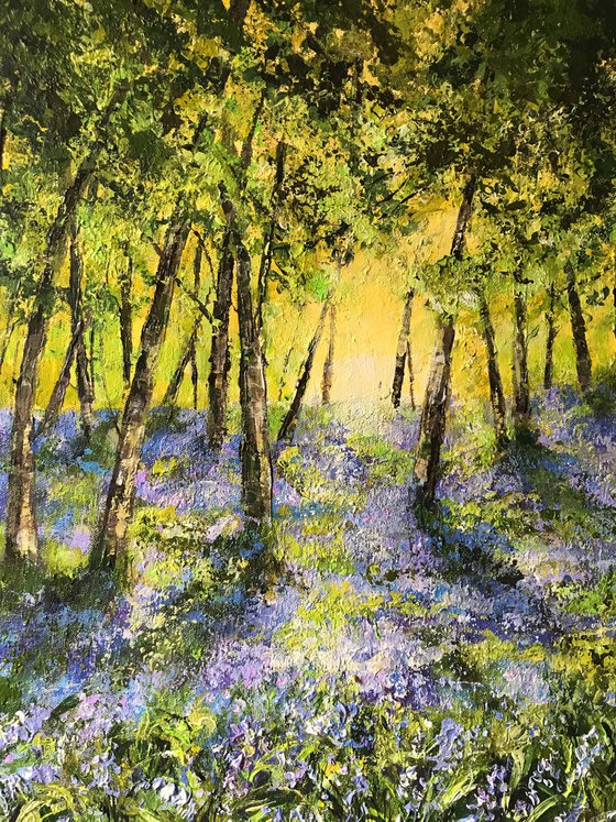 Bluebells no2