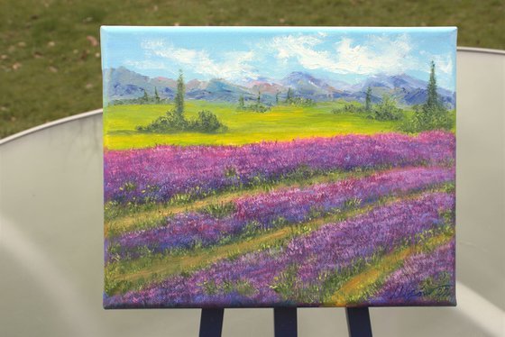 Lavender field 2