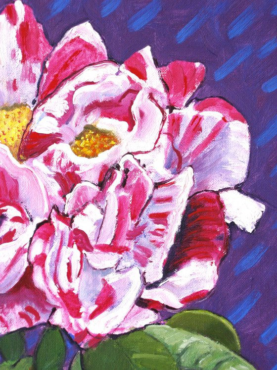 A Spray of Roses