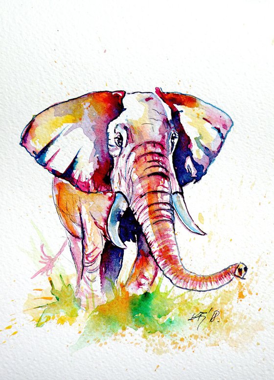 Walk alone - African elephant