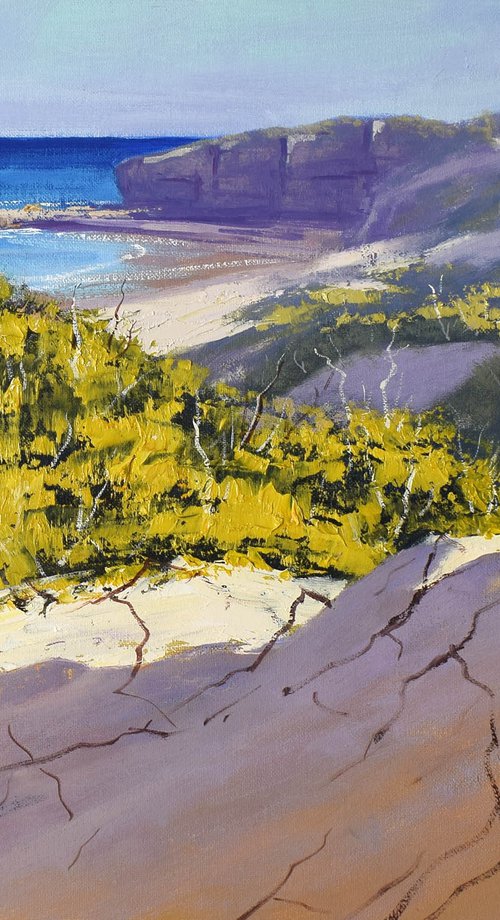 View to Soldiers Beach by Graham Gercken