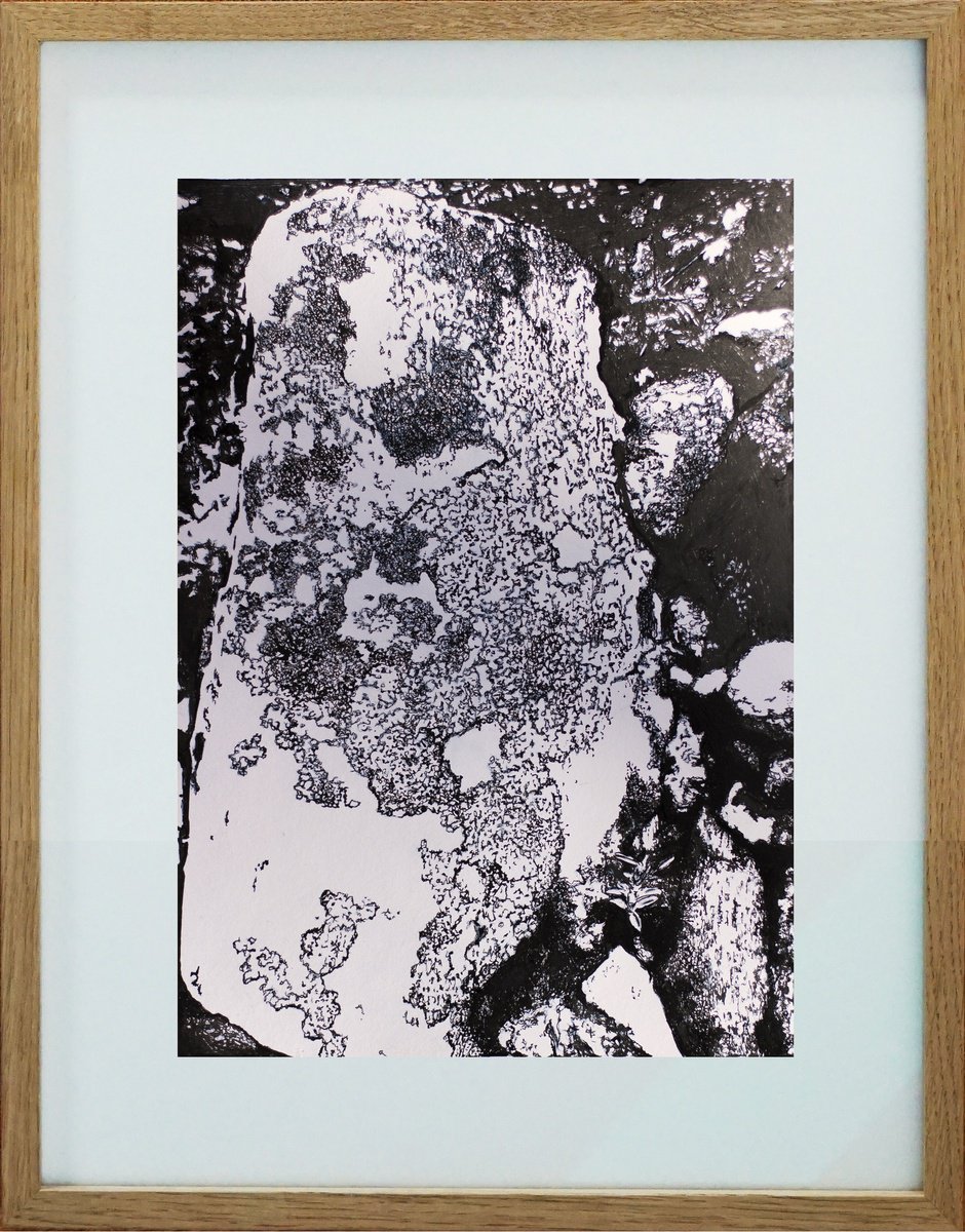 Photorealistic Ink Drawing , Arctic Lichens Study By Przemek Kret, 13 X 17, Artwork For Sale On Artfinder