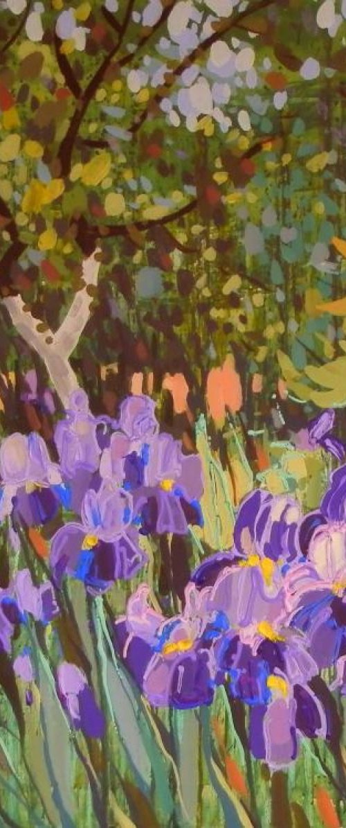 Irises by Sergey  Kachin