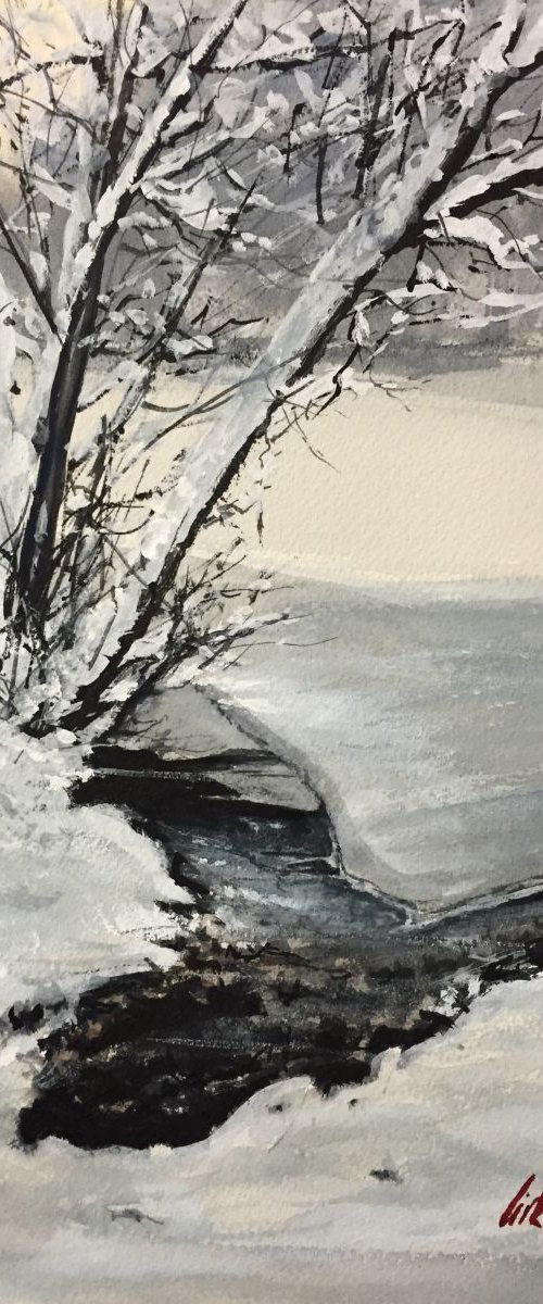 Frozen creek by Tihomir Cirkvencic