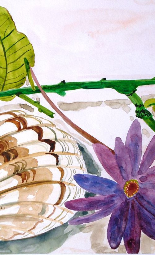 Shell with purple flower. by Kirsty Wain