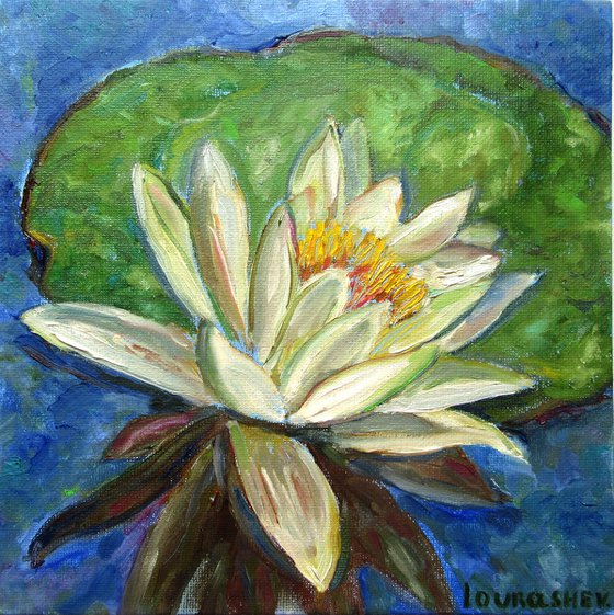 Waterlilies