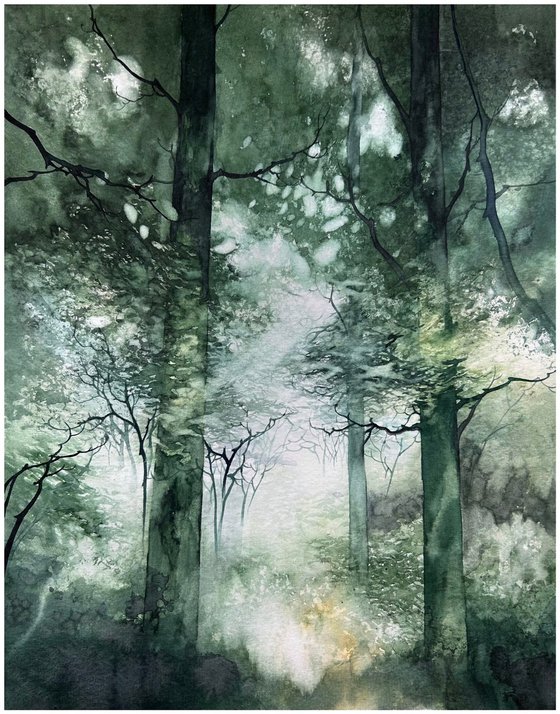 Forest Morning Mist