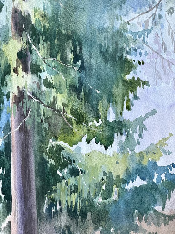 Pine