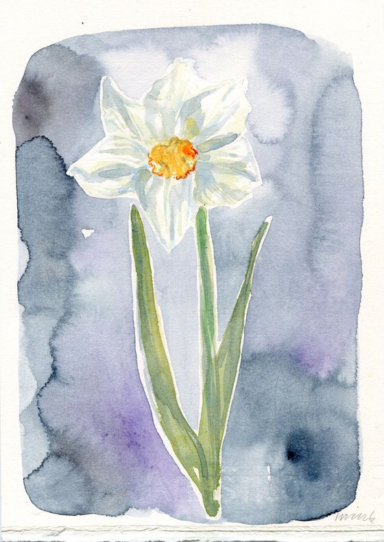 Original Watercolour Painting of a Single Narcissus Flower