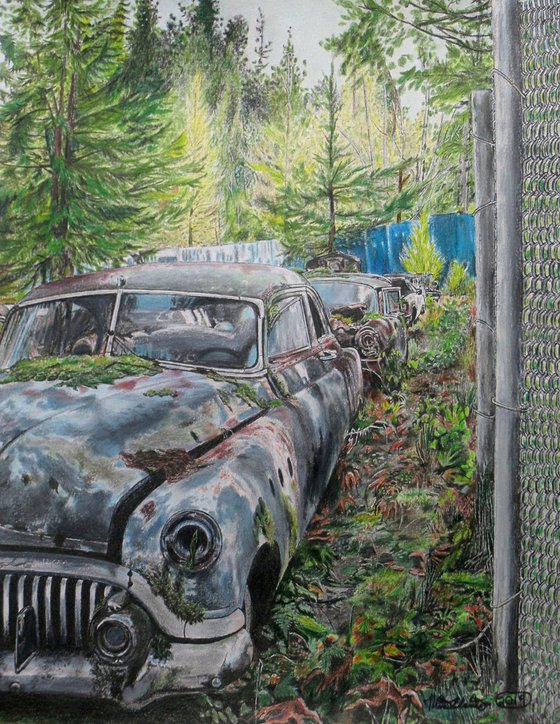 Along The Fence