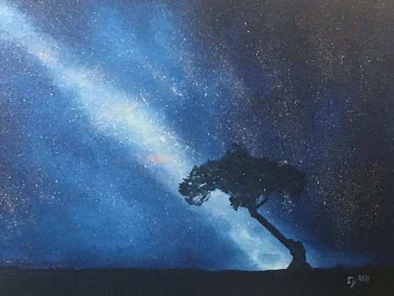 Night Sky