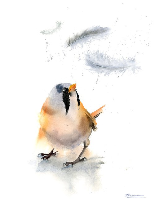 Bird and feather ( 1 of 3) -  Original Watercolor Painting by Olga Shefranov (Tchefranov)