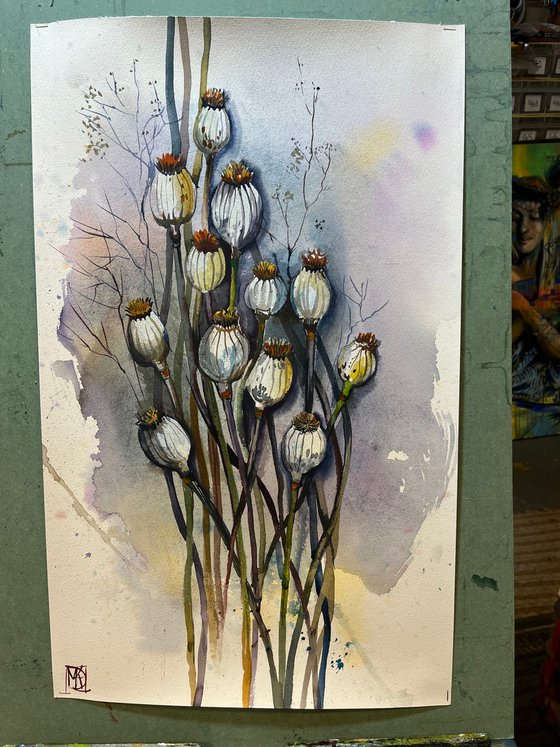 Dry Poppies