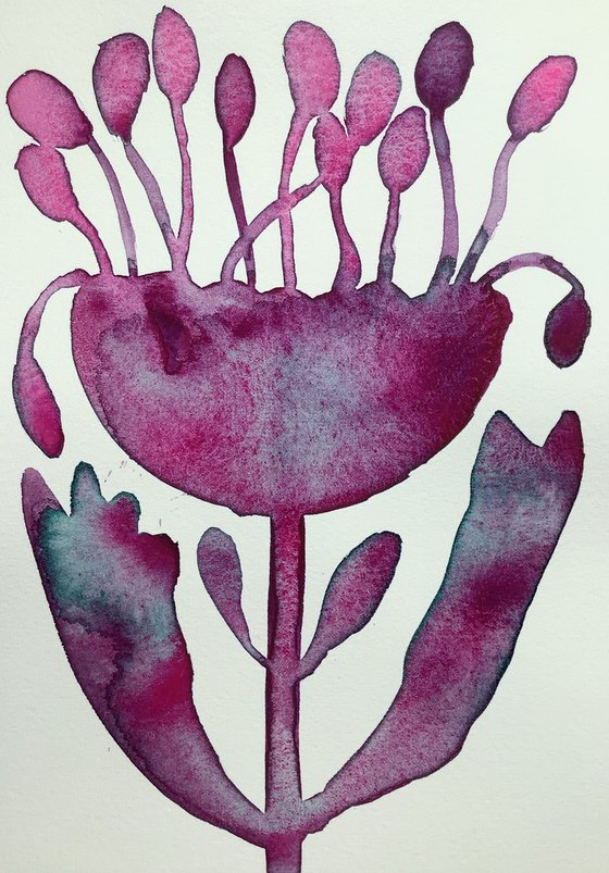 UNTAMED BOTANICALS