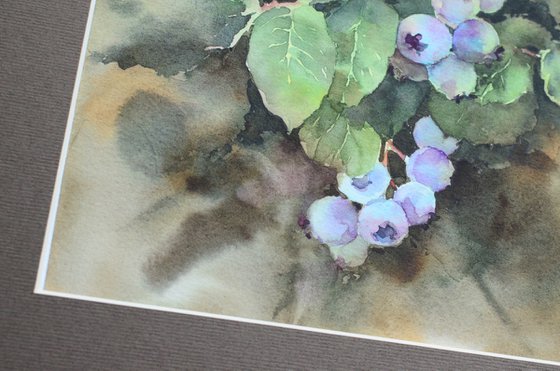 Blueberries ripen, Surprise in mom's garden, Small watercolor painting