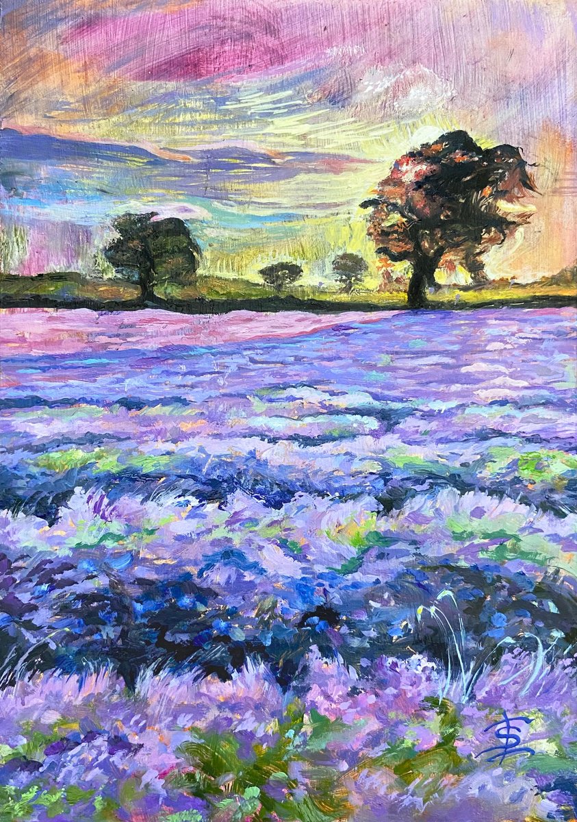 Lavender field by Elvira Sesenina