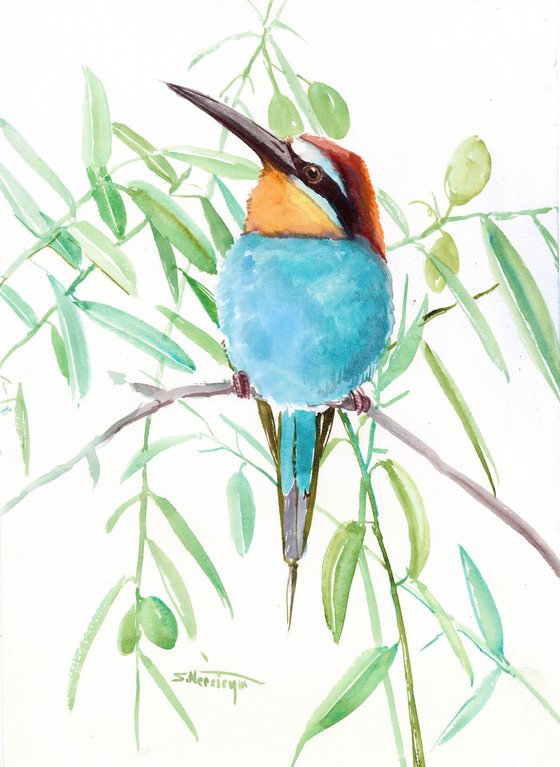 euroepan bee eater and olives