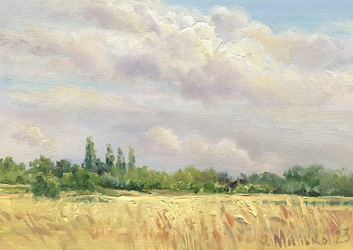 A field behind gardens / ORIGINAL oil painting. Plain air summer landscape ~ 14x10in (35x25cm) by Olha Malko