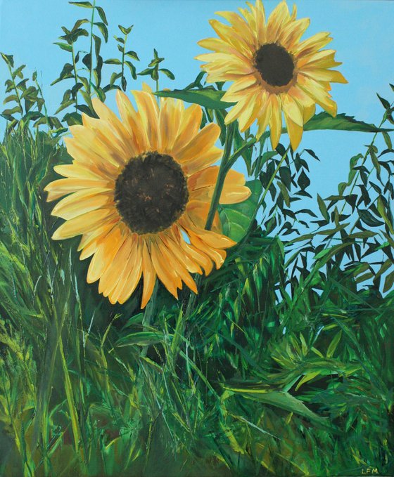 Sunflowers