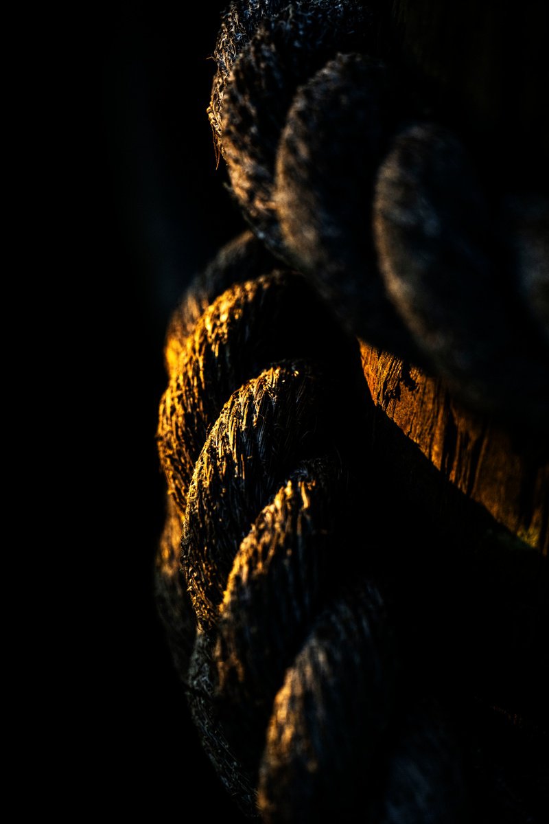 Still Life Photograph By David Huntzinger, 17 X 28, Golden Coils, Original Artwork