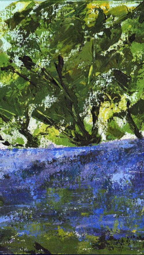 Abundant bluebells by Geoffrey Dawson