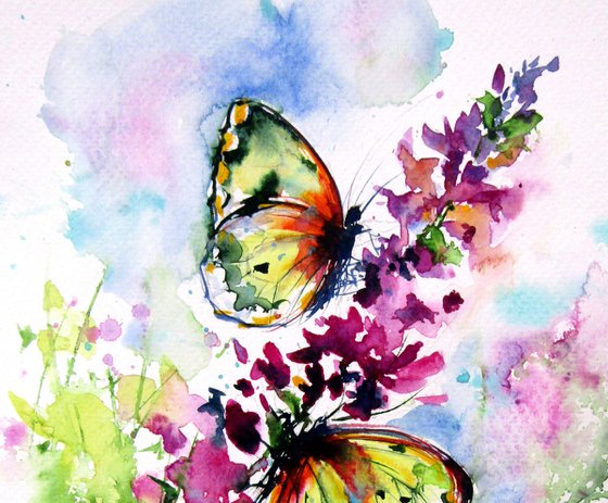 Butterfly collection