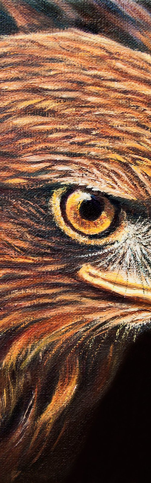 Golden Eagle by Norma Beatriz Zaro