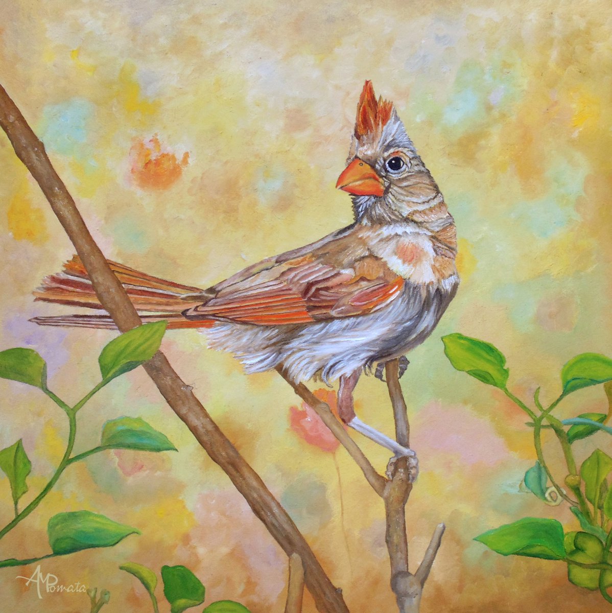 Impressionistic Animal Oil Painting By Angeles M. Pomata, 16 X 16, Female Cardinal Portrait, Original Artwork