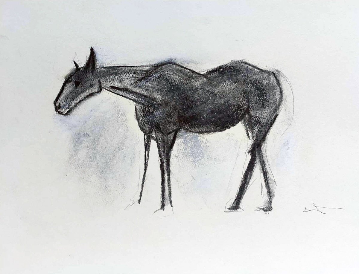 Expressive Animal Charcoal Drawing By Lionel Le Jeune, 15 X 11", Horse, Original Artwork